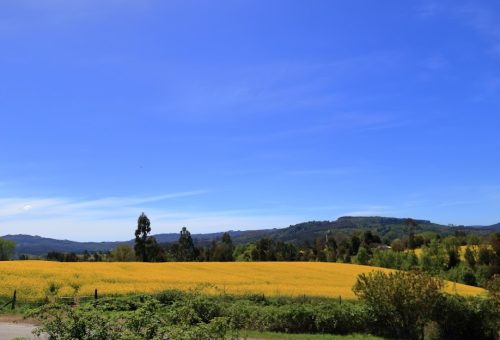 la unión